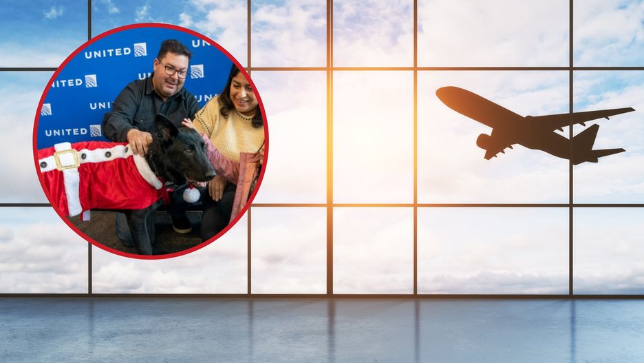 Mężczyzna porzucił swojego psa na lotnisku