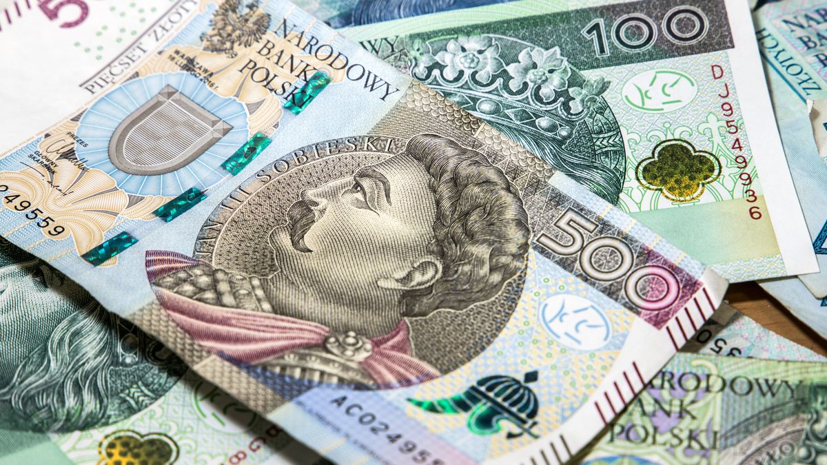 paper, zloty, currency, business, finance, money, bill, banking, closeup, poland, polish, cash, wealth, banknote, macro, background, financial, bank, pln, economy, isolated, 50, savings, note, pay, exchange, fifty, green, tax, loan, hundred, investment, market, rich, european, pattern, blue, europe, income, payment, concept, profit, stack, fortune, white, portrait, king, earnings, one, debt