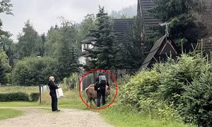 Ogromny problem w Zakopanem. "Nie chce mi się wierzyć"