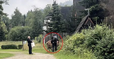 Ogromny problem w Zakopanem. "Nie chce mi się wierzyć"