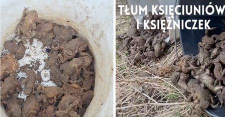 Leśnicy pokazali, czym się zajmują. Całe wiadro aż "chodziło"