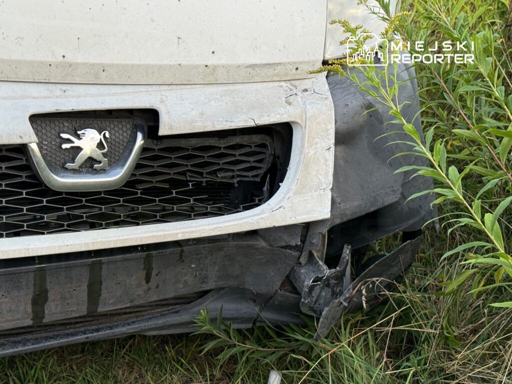 Uszkodzona biała furgonetka z uszkodzoną przednią częścią, otoczona wysoką trawą i krzewami.