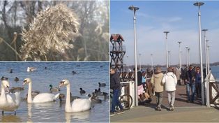 Dąbrowa Górnicza: Nad Pogorią czuć już wiosnę! Tłumy spacerowiczów wybrały się nad malownicze jezioro, by podziwiać budzącą się do życia naturę - ZDJĘCIA