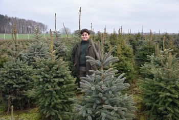 Niemczyn: Z rodzinnej plantacji prosto do świątecznych domów