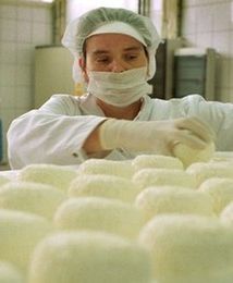 Polska żywność podbije USA i Japonię? Hitem może okazać się twaróg