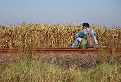 Zabierają Polakom mieszkania, bo potrzebują ich dla uchodźców? MSW wyjaśnia