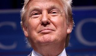 Postawił 200 tys. funtów na Donalda Trumpa. Zgarnie pół miliona!