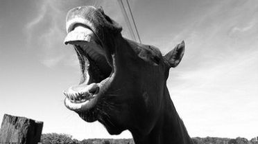 TOP 10 gadżetów na Prima Aprilis 1