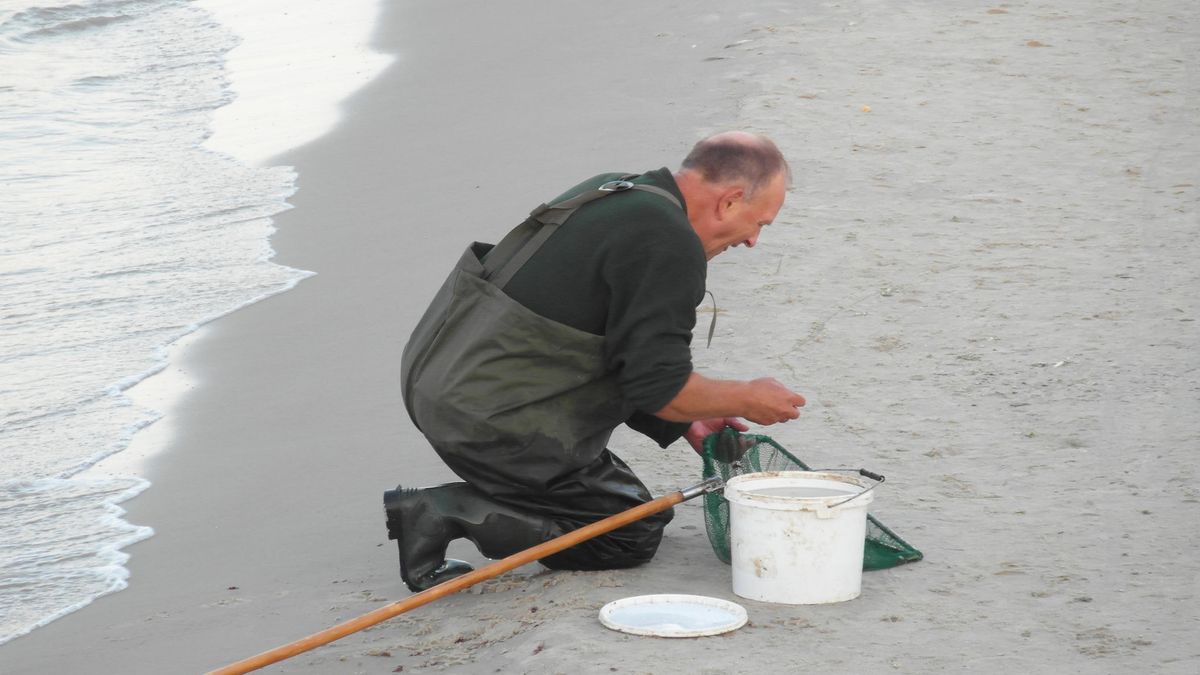 Poszukiwanie bursztynu