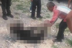Brutalny atak w Meksyku. Związali i torturowali niedźwiadka
