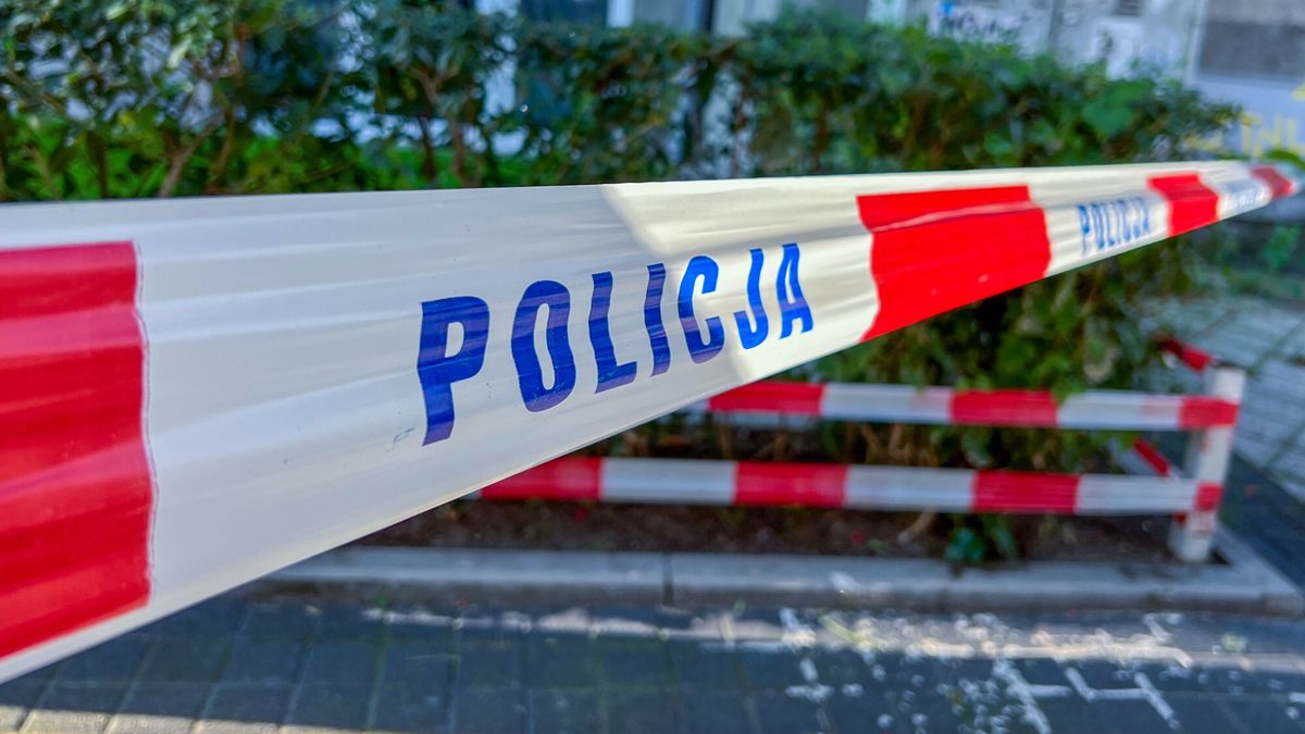 East News archiwum
Fot. NewsLubuski/East News, 25.08.2024, policyjna tasma
NewsLubuski