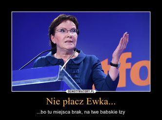 Wyniki wyborów samorządowych 2014. "Nie płacz Ewka". Internauci są bezlitośni. Pierwsze powyborcze memy