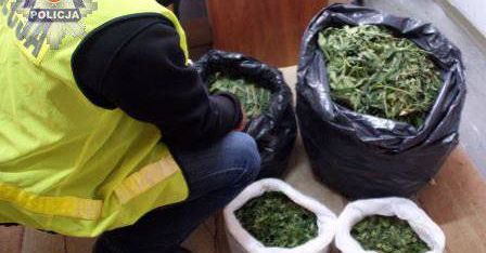 16 kilogramów marihuany zabezpieczone