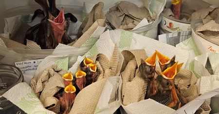 Niesamowite, co robią w tym miejscu w Warszawie. "Powoli pęka w szwach"