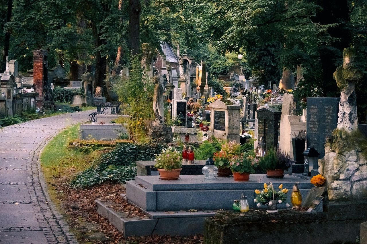 Bez zniczy i pomników. Tylko drzewa. Nowy cmentarz powstaje na Śląsku