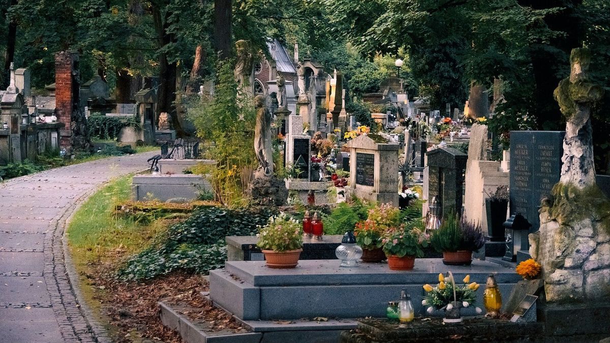 Nowa forma pochówku w Gliwicach na Śląsku (fot. ilustracyjne)