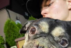 Interwencja policji. Zwierzęta w skandalicznych warunkach