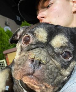 Interwencja policji. Zwierzęta w skandalicznych warunkach