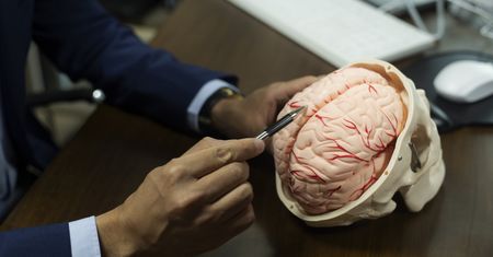 "Zapłon" dla mózgu. Neurolożka ostrzega przed niedoborem tej witaminy