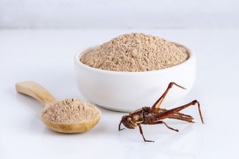 Naukowiec z Poznania zachęca do spróbowania produktów z owadami. "To wyłącznie zdrowa alternatywa"