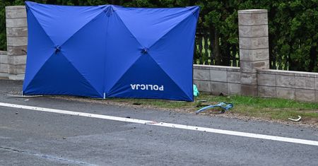 Babcia przechodziła z wnuczką przez pasy. Kobieta nie żyje