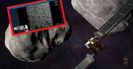 "Wielki skok ludzkości". NASA ogłasza sukces