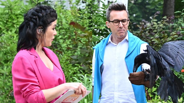 Katarzyna Cichopek i Maciej Kurzajewski