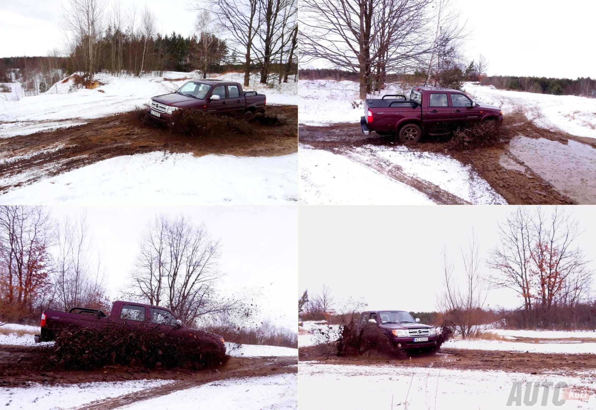 ZX Auto Grand Tiger test