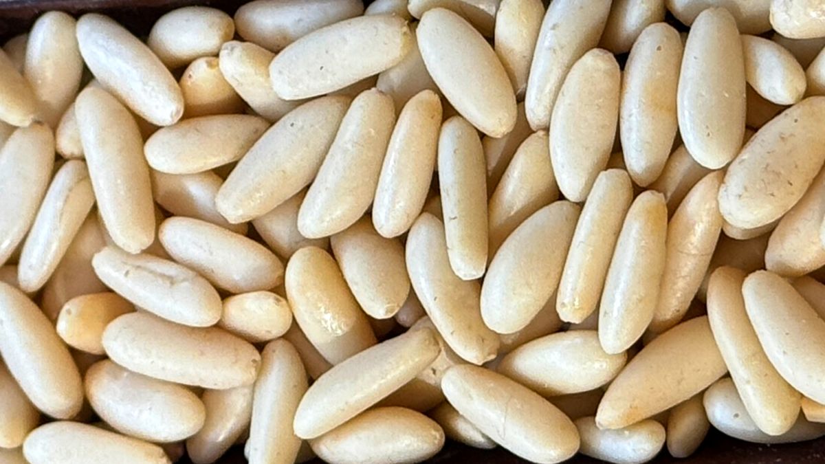 Orzeszki piniowe łączą delikatny aromat z wartościowym składem