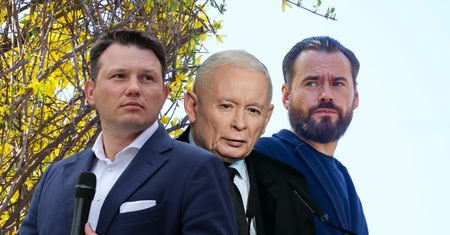 Opozycja przejęła narrację ws. artystów. Ogromna przewaga w sieci