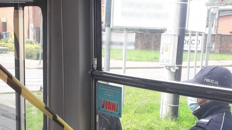 Wandal z Sosnowca został namierzony w krzakach.