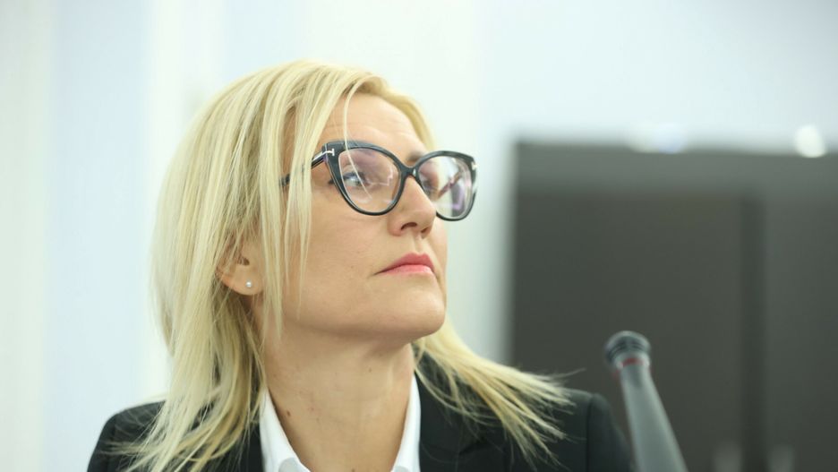Afera z Pegasusem. Prokurator Wrzosek w PE: potrzeba europejskiej komisji  