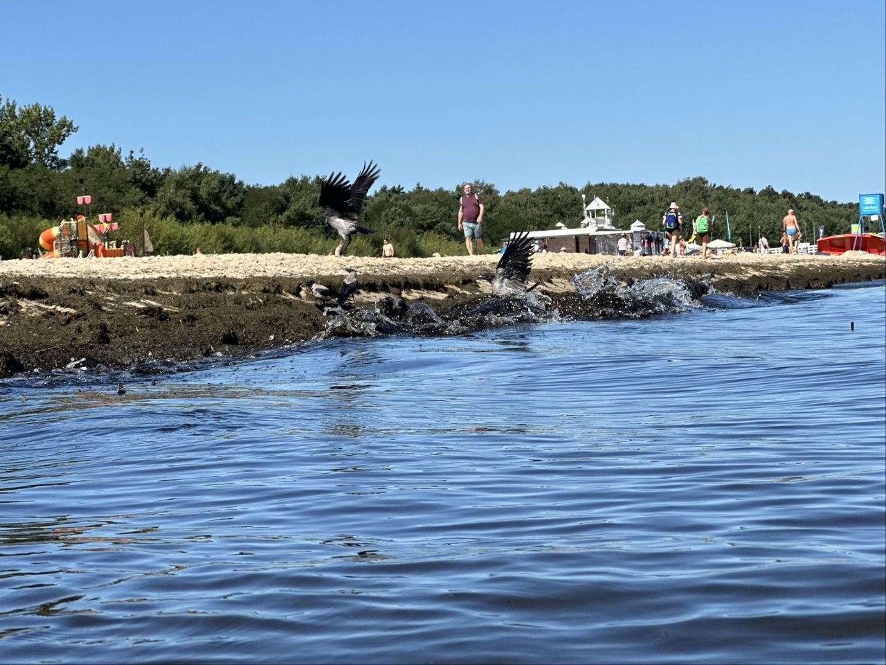 Plaża Brzeźno