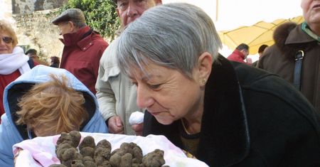 "Złoto" rośnie pod polską ziemią. Za 100 g trufli płacą ponad 100 zł