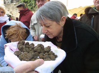 "Złoto" rośnie pod polską ziemią. Za 100 g trufli płacą ponad 100 zł