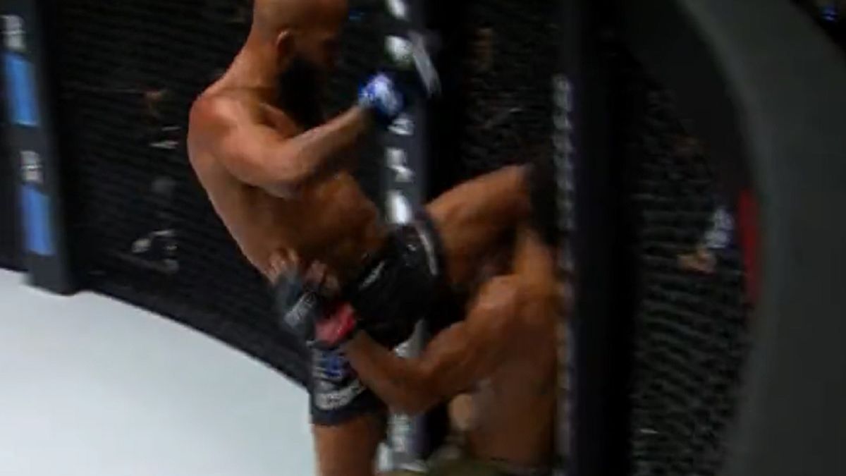 Twitter / Demetrious Johnson ciężko znokautował Adriano Moraesa w rewanżowej walce 