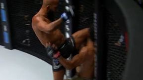 Odwet w wielkim stylu! Demetrious Johnson ciężko znokautował Adriano Moraesa [WIDEO]