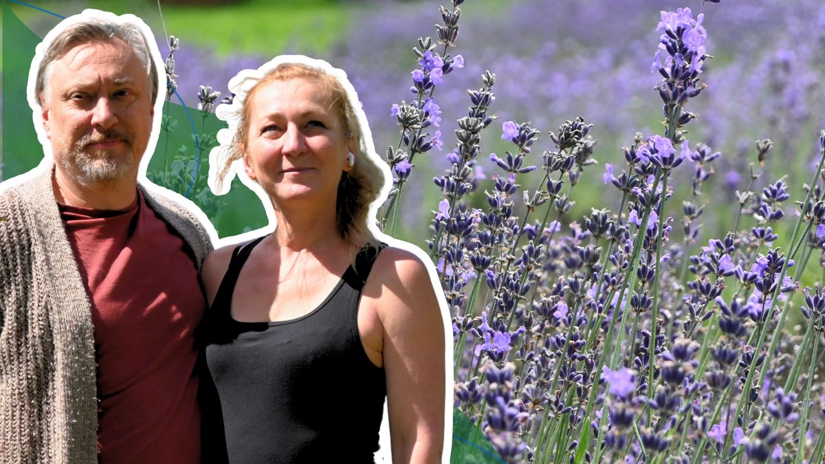 Basia i Bartek prowadzą razem uprawę lawendy