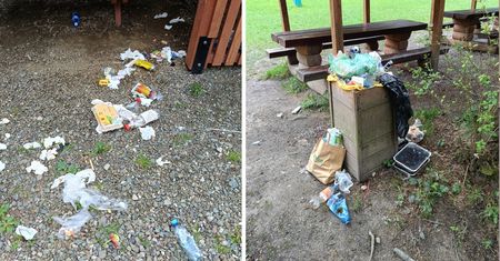 "Ilość śmieci jest niewiarygodna". Leśnicy są załamani po majówce