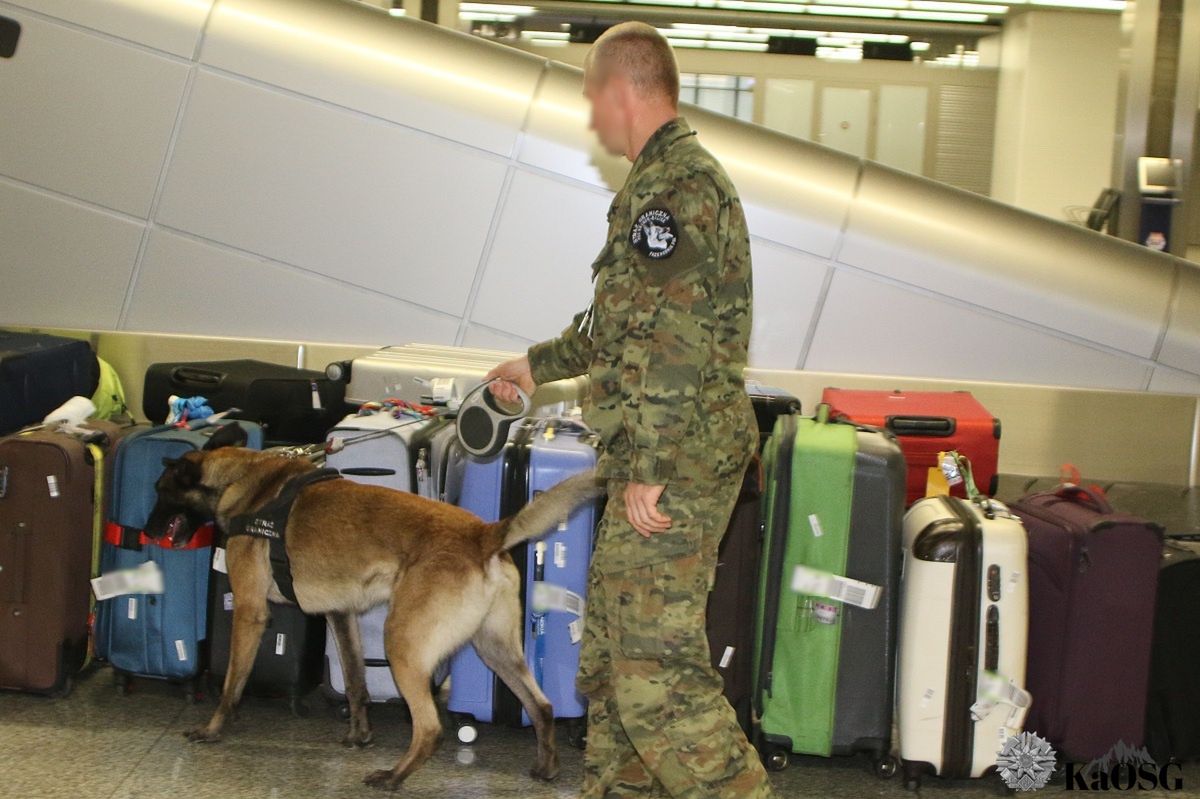 Kraków: "Żartowali” o bombach na lotnisku. Otrzymali mandaty i nie polecieli