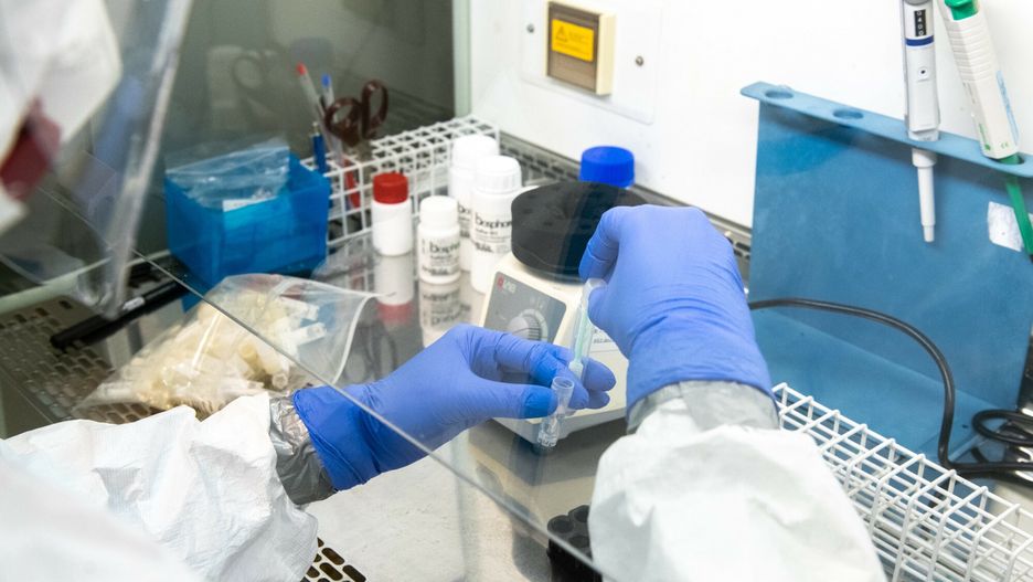 laboratorium