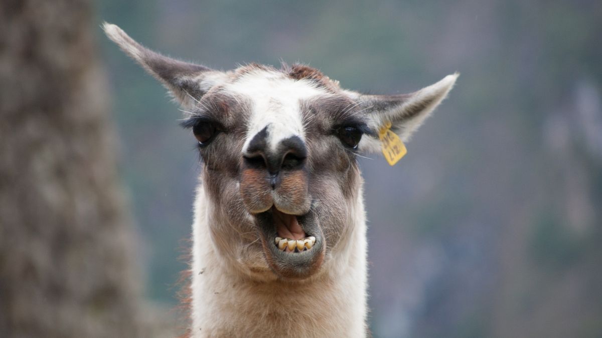 #wSkrócie: dużo Samsunga Galaxy S7, hybryda Huaweia i koniec MixRadio 1