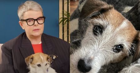 Karolina Korwin Piotrowska zawdzięcza swojemu pupilowi życie: "Jestem pewna, że popełniłabym samobójstwo"