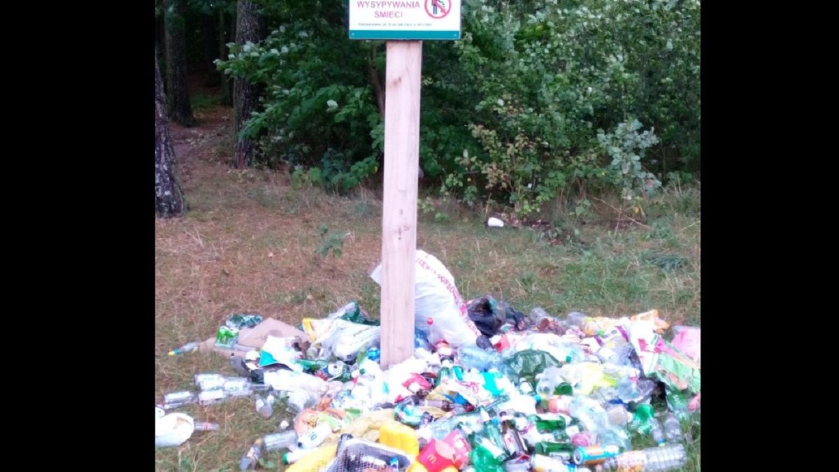Leśnicy pokazali stertę śmieci. Smutny widok skomentowali internauci. 