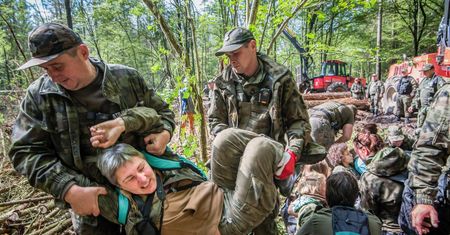 Trybunał bezlitosny w sprawie Białowieży. Polskę mogą spotkać kary