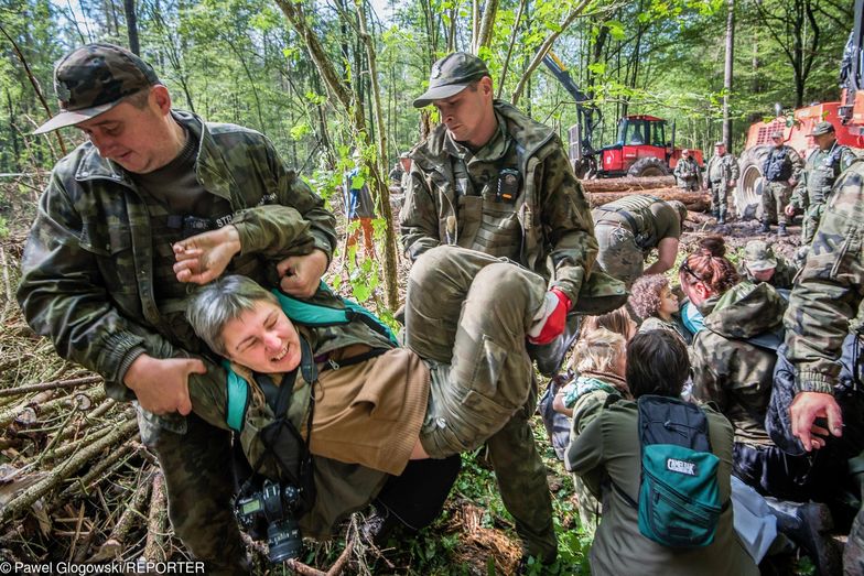 Trybunał bezlitosny w sprawie Białowieży. Polskę mogą spotkać kary