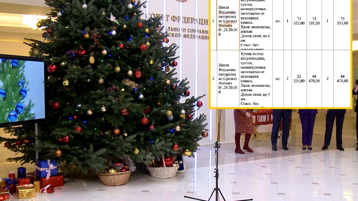 Rosyjskie władze kupują choinki w Polsce