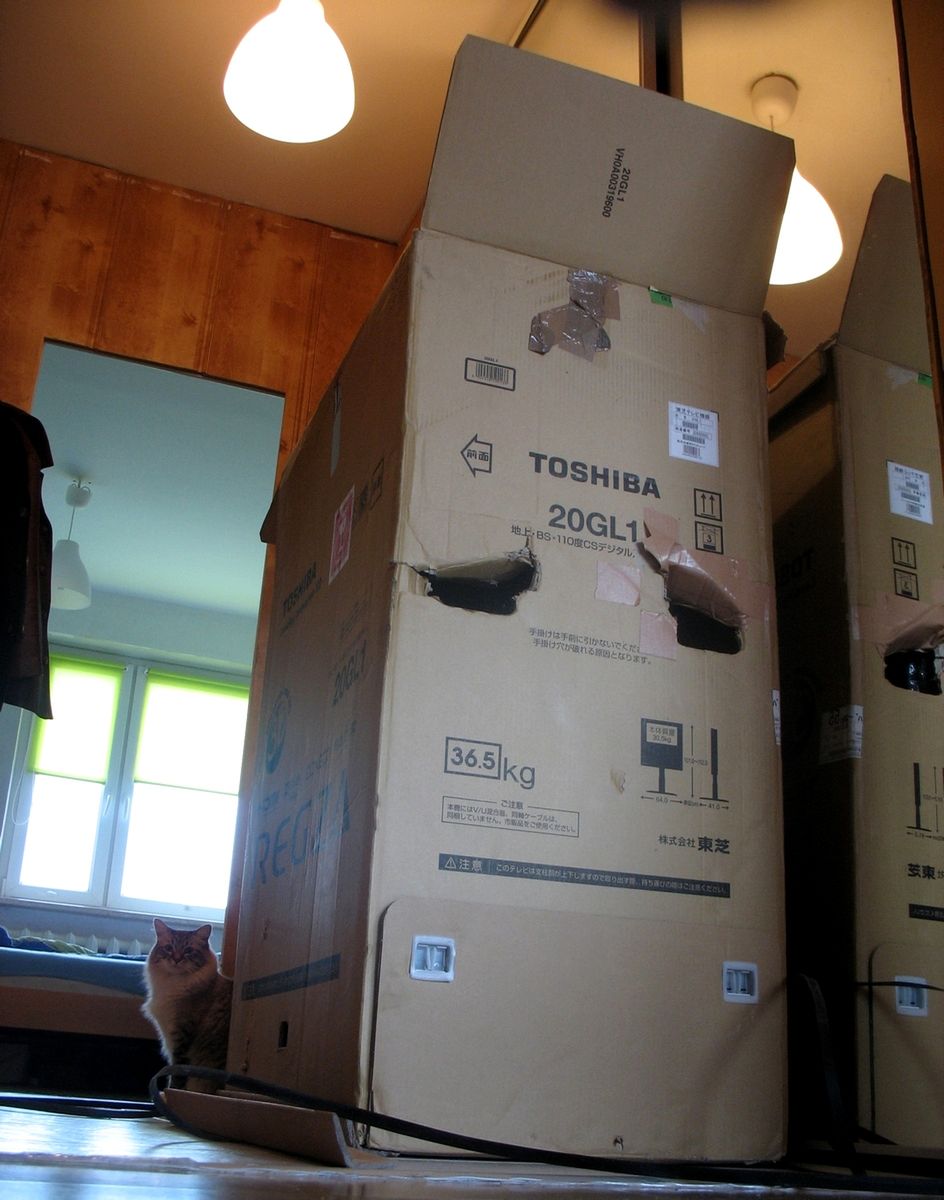 Toshiba 20GL1 - 3D bez okularów może mieć sens! [pierwsze wrażenia] 2