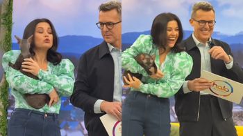 Katarzyna Cichopek mierzy się z niesfornym kotem w "halo tu polsat". Ekspertka ocenia sytuację