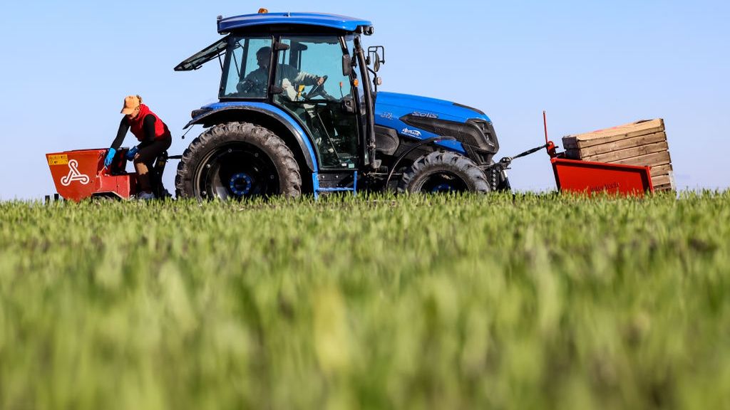 Galicia Garlic Planting In Lesser Poland Region
A man and woman plant Galicia garlic in a tractor on an agricultural field as the planting season continues on October 16, 2024. Galicia garlic is a local pride, it is certificated by the European Union as a protected produce of Poland. Galician garlic is characterised by a high content of alline, the compound responsible for the characteristic garlic flavour and antibiotic characteristics. (Photo by Dominika Zarzycka/NurPhoto via Getty Images)
NurPhoto
october 16, woman, galicia garlic, daytime, planting season, regionalny, fall, man, local pride, soil